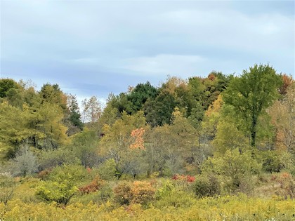 Catskills area NY land for sale
