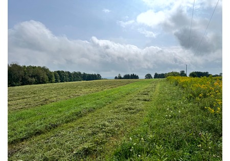 Land for sale Finger Lake area NY