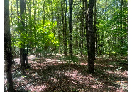 NY hunting land for sale