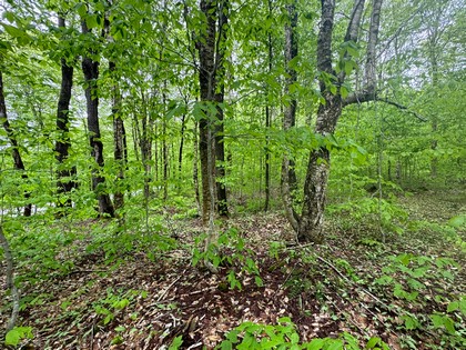 NY camps for sale