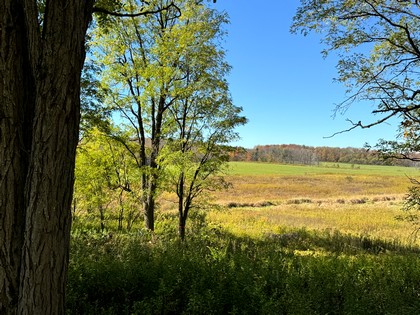 NY southern tier hunting land for sale