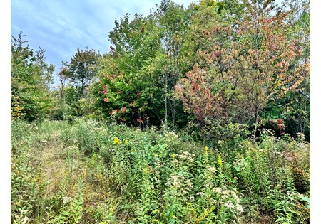 NY hunting land