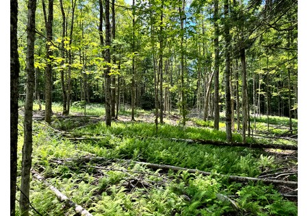 NY land for sale