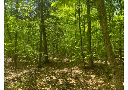 Adirondack land for sale