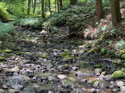 NY land for sale