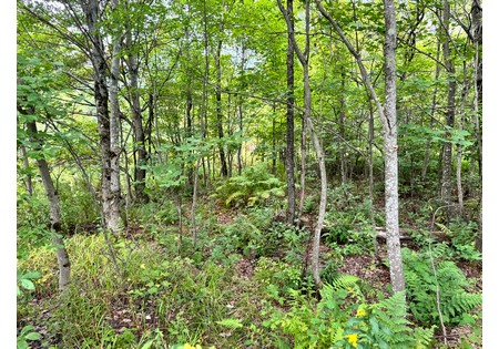 NY hunting land for sale