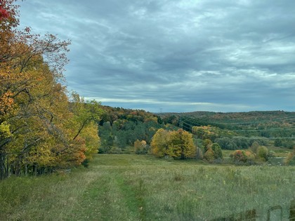 NY land for sale Catskills area