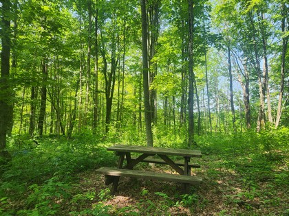 NY camps for sale - Salmon River area