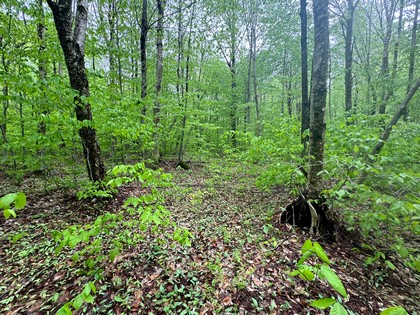 NY land for sale