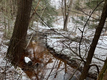 NY land for sale near Oneida Lake NY