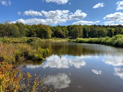 NY hunting camp for sale