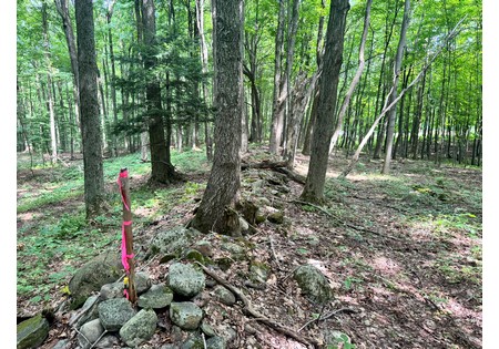 Salmon River NY land for sale