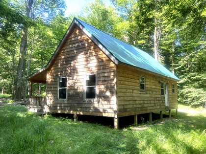 NY cabins for sale
