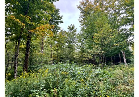 NY land for sale