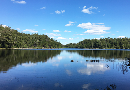 Waterfront Land For Sale NY State From Land And Camps