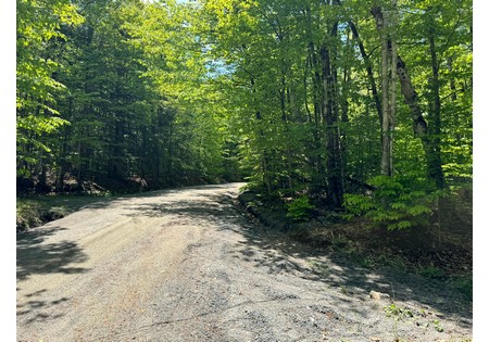 Adirondack land for sale