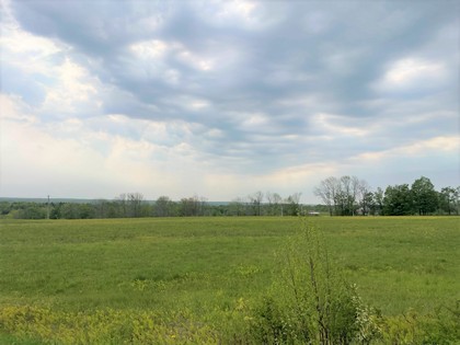 NY land for sale Oneida County