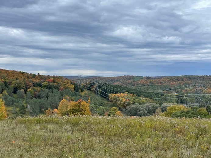 Land For Sale Catskill Mountains New York