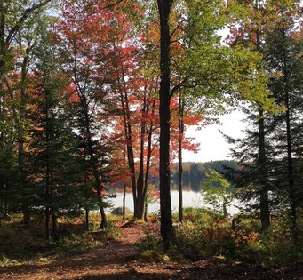 Adirondack camps for sale NY