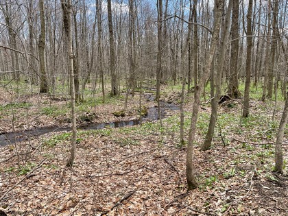NY land for sale near Salmon River area