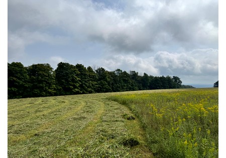 Finger Lakes NY area land for sale