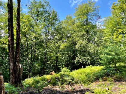 NY cabin for sale in Constantia NY