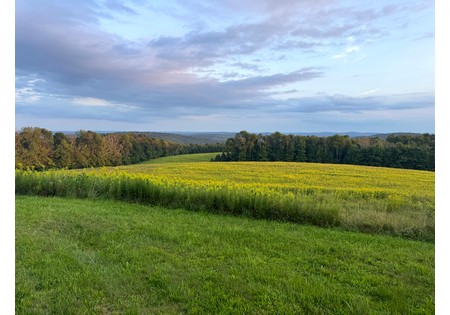 Finger Lakes NY homes for sale