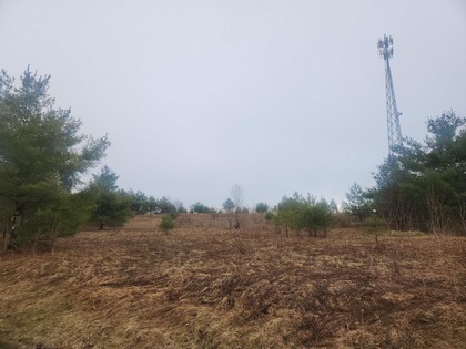land for sale NY