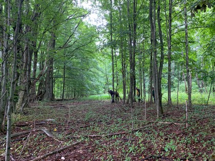 NY hunting land for sale in Steuben NY