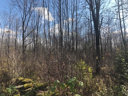 NY hunting land for sale Pharsalia NY