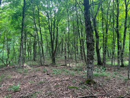 NY waterfront land for sale, land and camps, ny waterfront properties, ny lakefront land, christmas associates