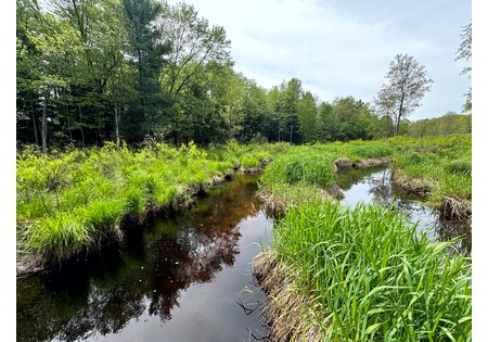 NY hunting land for sale