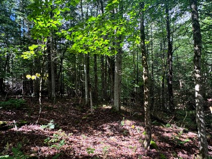 NY Adirondack land for sale