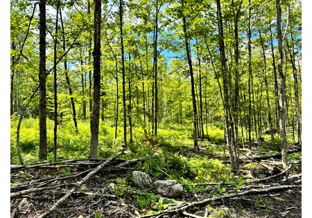 NY land for sale