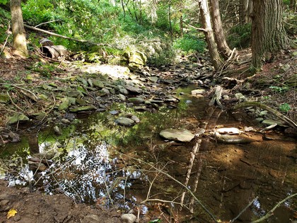 NY creek front land for sale Florence NY