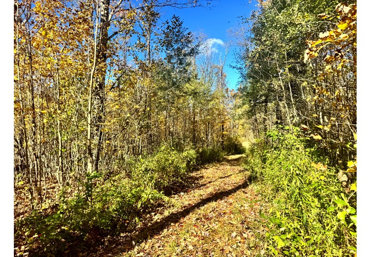 Tug Hill NY land for sale