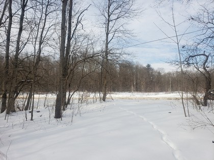 NY land and camp for sale in Tug Hill