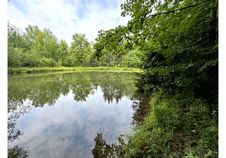 Finger Lakes NY land for sale