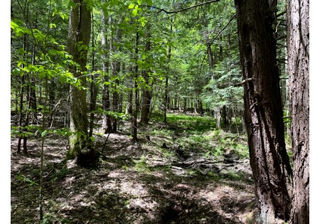 Oneida Lake NY area land for sale