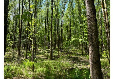 Land for sale near Oneida Lake NY