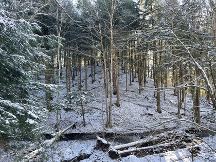 NY waterfront land for sale