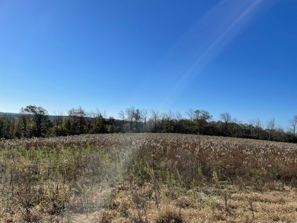 NY hunting land for sale - southern tier