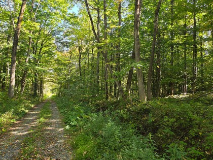 Adirondack NY land for sale