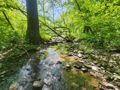 Finger Lakes NY land for sale