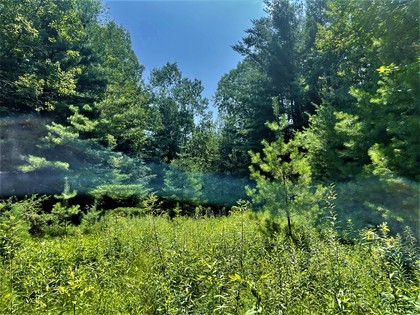 NY building lot land for sale