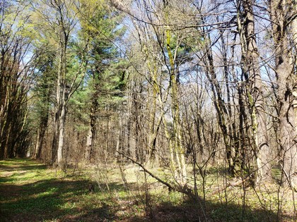 NY hunting sale for sale in Boylston NY