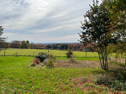 NY farmhouse for sale