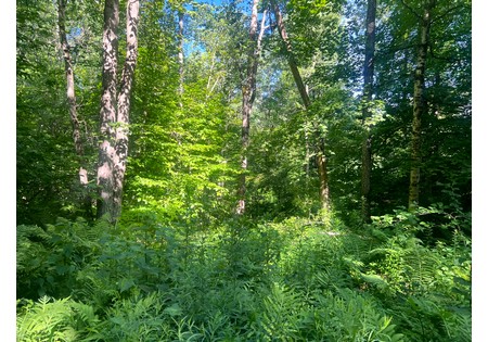 Tug Hill NY land for sale