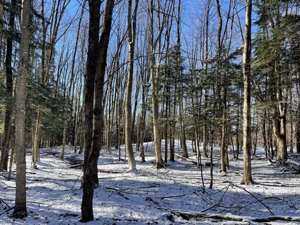 land for sale central NY