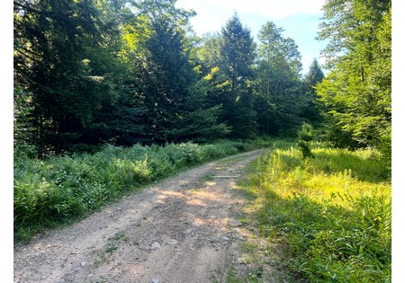 Tug Hill NY land for sale